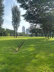 Sanctuary Green (D15), Condominium #584897121